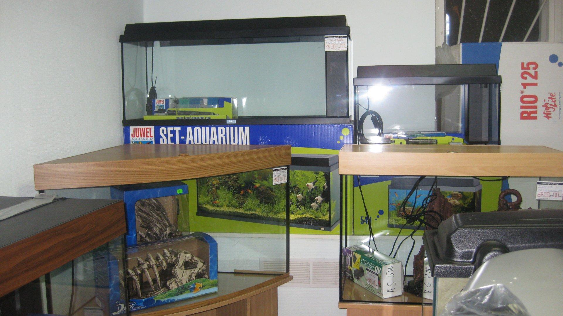 Аквариумный мир ул кирова 12б фото Аквариумный мир ул кирова 12б фото